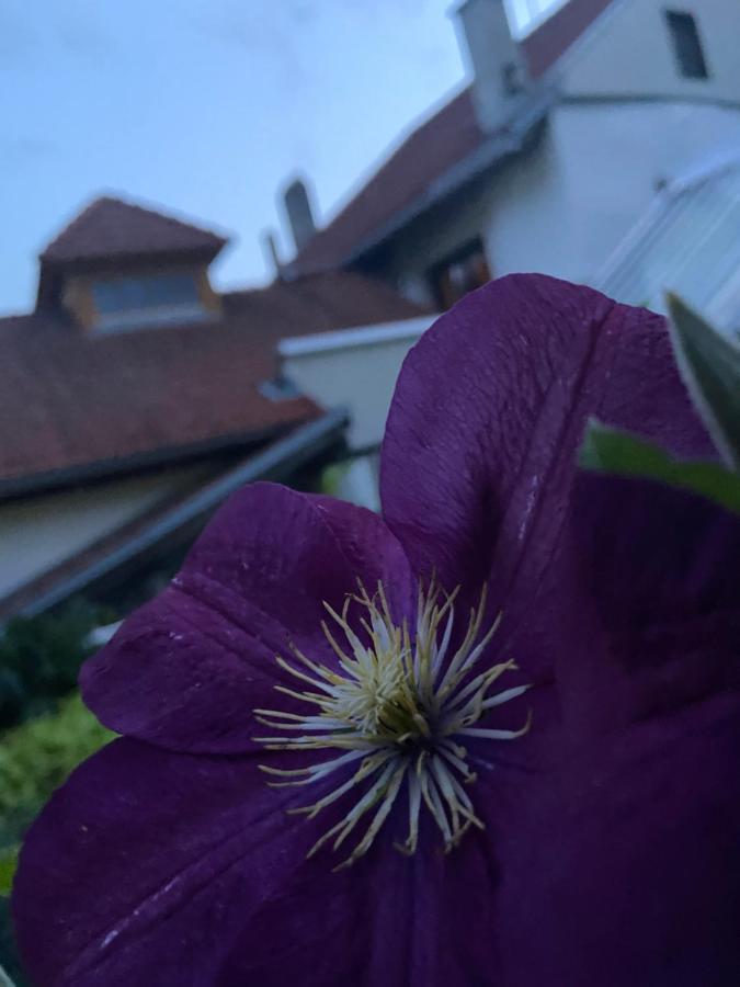 Gasthof Zum Mohrn Oberwoelz Stadt Luaran gambar